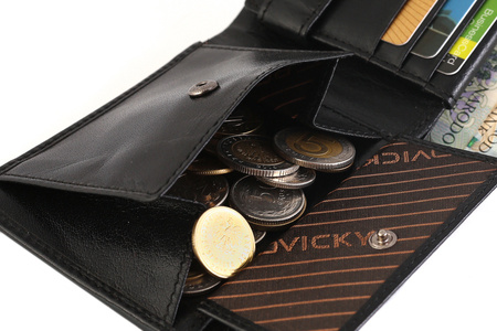 Rovicky men's RFID leather wallet CPR-021-BAR