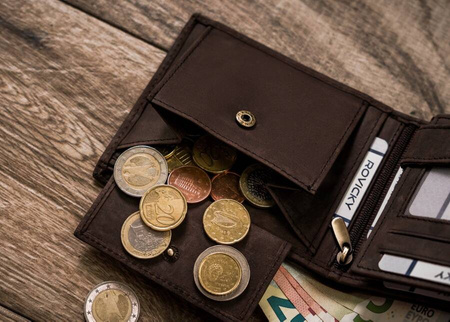 Men's Leather Wallet with Dog Motif RFID N992-CHM-DOG-1 Brown