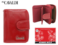 Portfel damski N116-APU-BL Y.Red