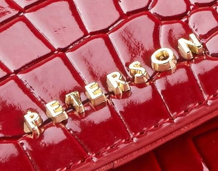 Gift set in a decorative box: wallet, pen, and keychain PTN ZD17 Peterson