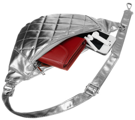 Saszetka nerka WB21-PK Silver