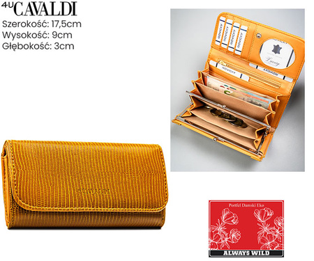 Portfel damski PU na blistrze A-PAL1B-BL-CAMEL