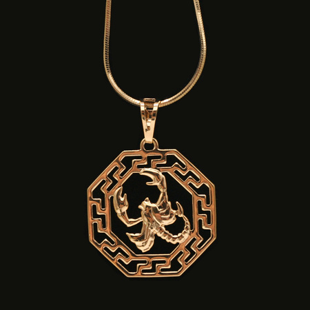 Łańcuszek z wisiorkiem P9-N20 Gold Rak