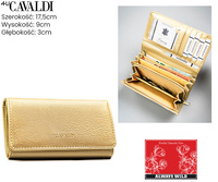 Portfel damski PU na blistrze F-PAL1C-BL Gold