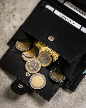 Leather wallet RFID ALWAYS WILD N4L-P-CCD-8127