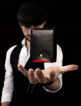 Gift Set: Men's Wallet + Key and Card Holder PETERSON PTN ZM39