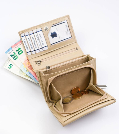 ROVICKY RFID leather wallet R-RD-02-GCL-Q