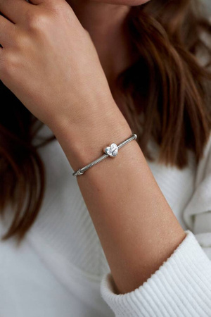 Srebrny charms Best Friends PETERSON CHP-001