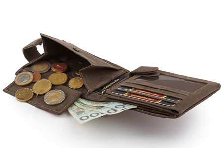 Leather wallet PTN 304Z 2-1-4 Hunter