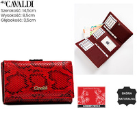 Portfel damski skóra+PU PX23-DNH D.Blue