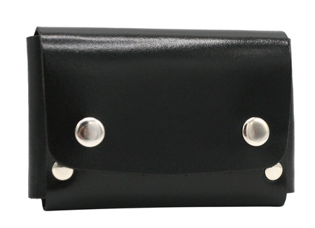 Etui na karty 3194-HG Black