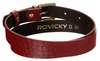 ROVICKY ZPD-Z2.5GK leather belt without discount