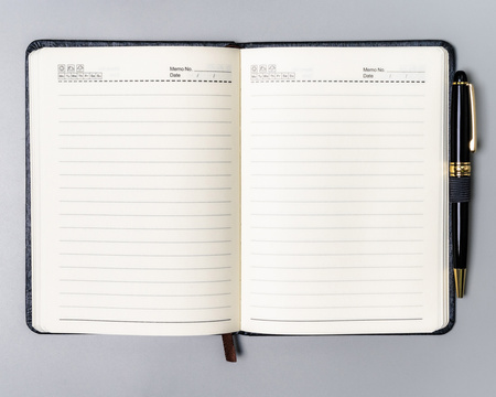 Notes Peterson PTN NOT-6-LN-Q3 Gray