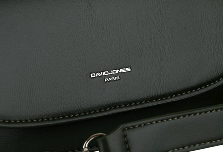 DAVID JONES CH21012 eco handbag