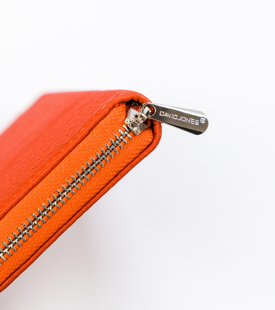 DAVID JONES eco wallet P119-510