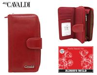 Portfel damski N118-APU-BL Y.Red