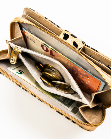 Portfel damski skóra+PU PTN PS116-PDS Gold