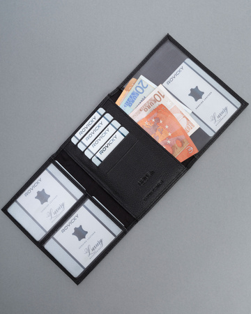 Skórzane etui na dokumenty PAL50-PDM-BL Black