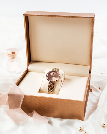 PETERSON women's steel watch PTN-ZEGAR-D