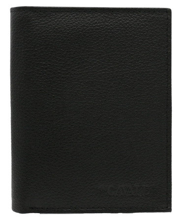 Leather Wallet N4-GPDM Black