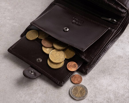 Portfel skórzany RFID ROVICKY PC-104L-BAR Brown