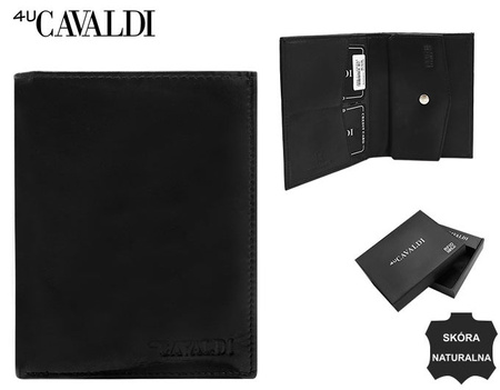 Skórzane etui na dokumenty N379-CSL Black