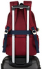 Plecak PTN 8594 Bordo