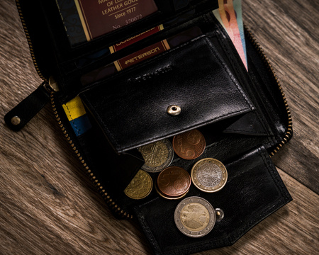 Portfel męski skórzany Peterson PTN 340-P-UP UA