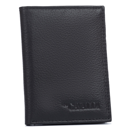 Skórzane etui na dokumenty TW-01-PDM-BP Black