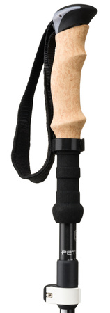 Kijki do Nordic Walking PTN KNW-01 Black