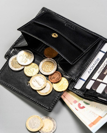 Portfel skórzany RFID ROVICKY 22321-RVTP