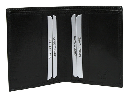 Skórzane etui na dokumenty TW-01-RVT Black