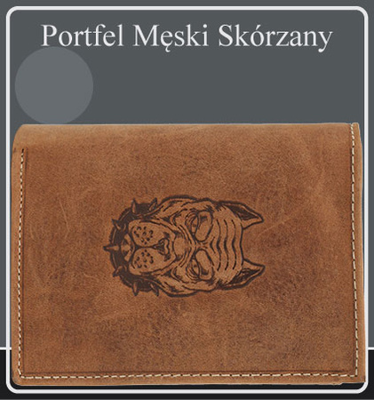 Portfel męski skórzany Blister N4-CHM-DOG-2-BL Cognac