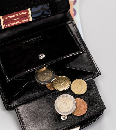 Portfel damski skórzany PTN RD-26-GCL Black