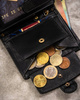 Men's Gift Set: Genuine leather wallet and leather keyring PETERSON PTN SET-M-1542L-GVT preent leather wallet and key ring set