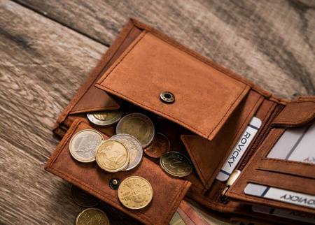 Portfel skórzany z wizerunkiem psa RFID N992-CHM-DOG-1 Cognac