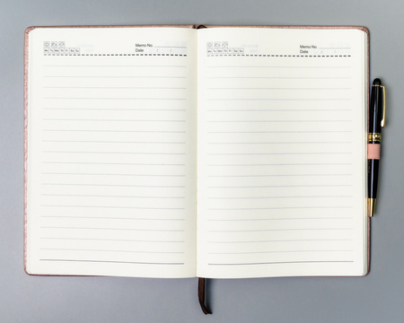 Notes Peterson PTN NOT-6-LN-Q1 Pink