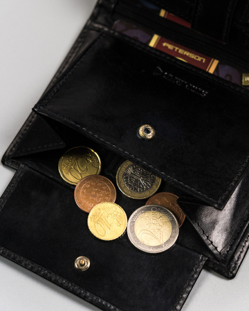 Portfel męski skórzany PTN 22307-VT-E