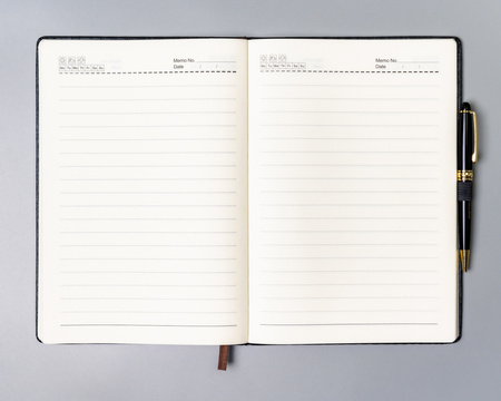 Notes Peterson PTN NOT-6-LN-Q1 Gray