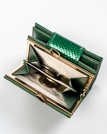 Portfel damski skórzany PTN 42329-DSL Green